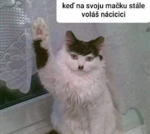 Nácici